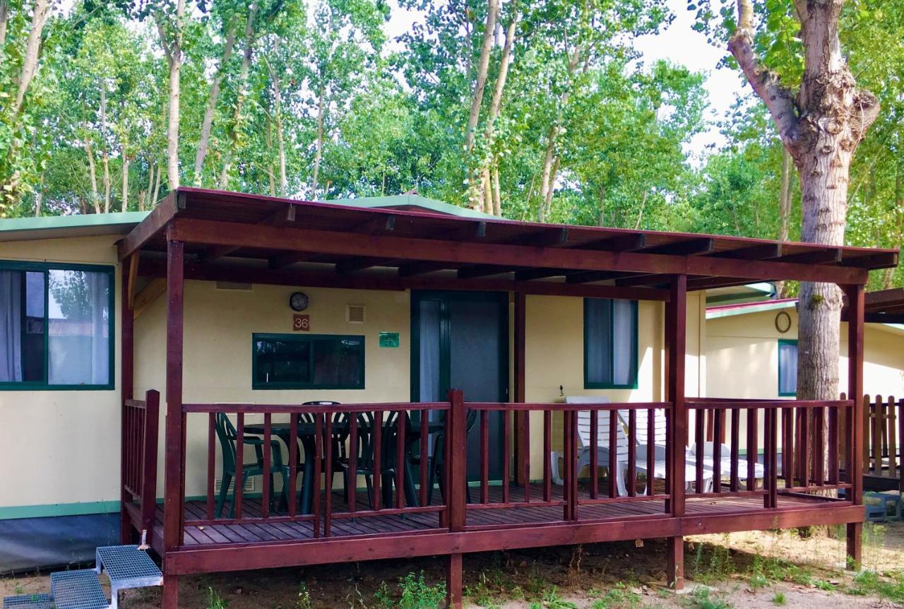 Camping Village Punta Navaccia Туоро сул Тразимено Екстериор снимка